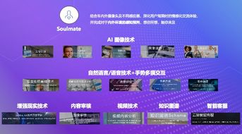 随身车联网 技术迭代中用户注意力完整化的最佳方案